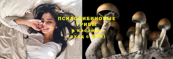 мяу мяу мука Алексеевка