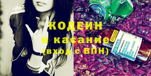 индика Переславль-Залесский