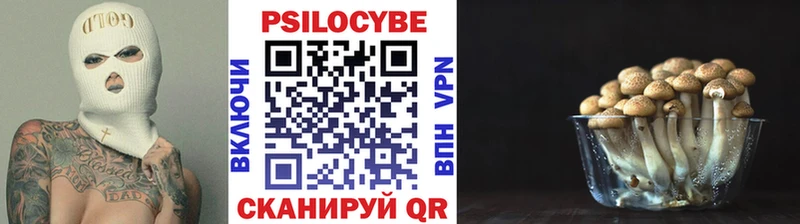 где купить наркотик  Минусинск  Псилоцибиновые грибы Magic Shrooms 
